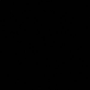 Meet your Posher, Liz